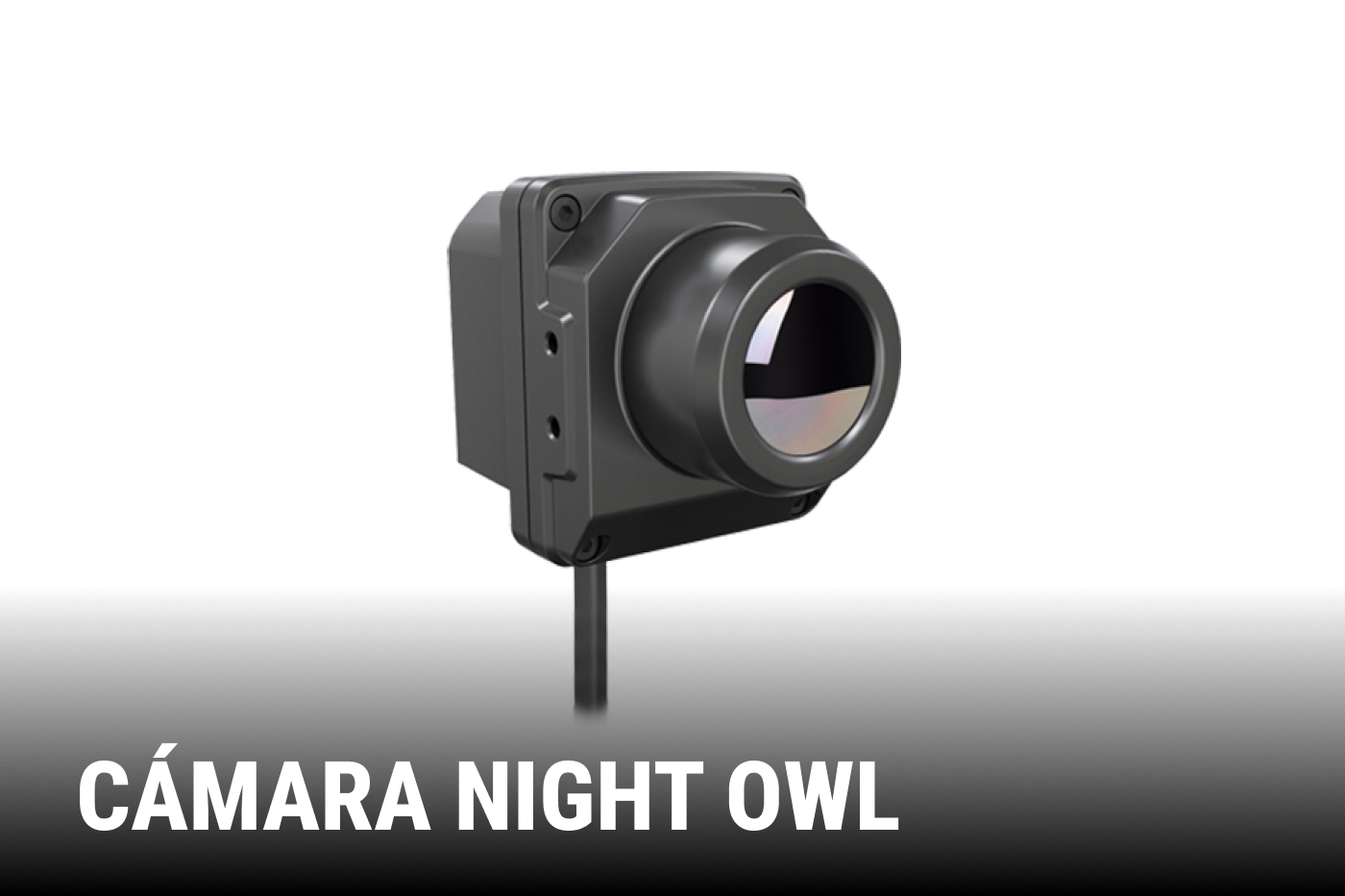 CAMARA NIGHT OWL